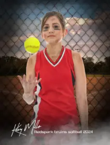 Fenced In Softball 3'x4'
