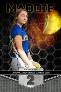 Great Balls of Fire Softball 2'x3'