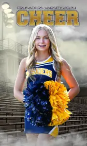 In The Stands Cheer 3'x5'