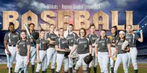 Play Ball 4'x8'