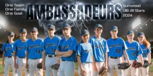 Tornado Alley Baseball Softball 4'x8'